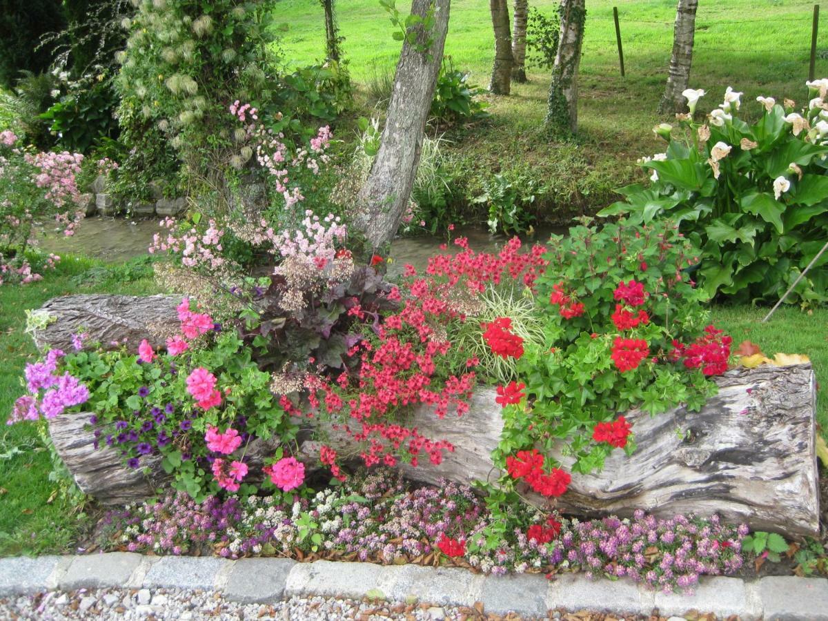 Retour Aux Sources Bed and Breakfast Bainghen Esterno foto