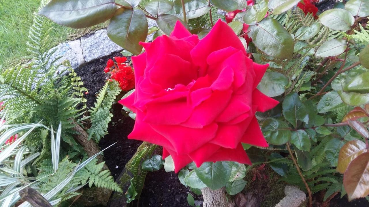Retour Aux Sources Bed and Breakfast Bainghen Esterno foto